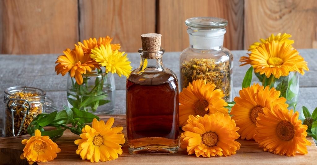 Some Unexpected Benefits and Uses of Calendula Oil插图4